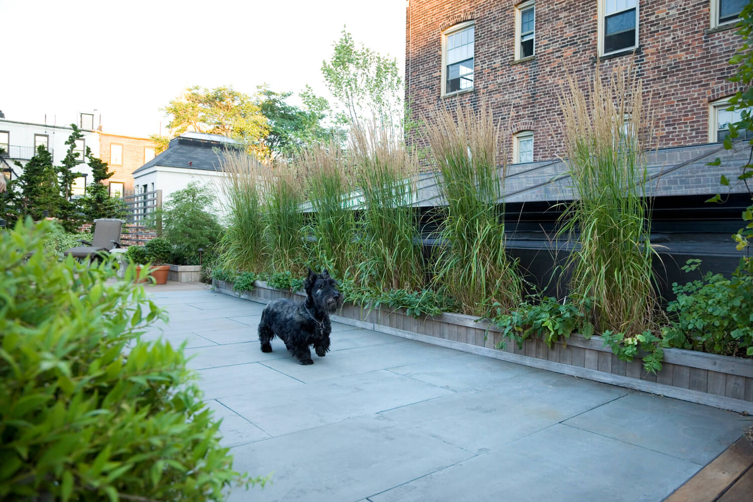 Brooklyn Heights Carriage House