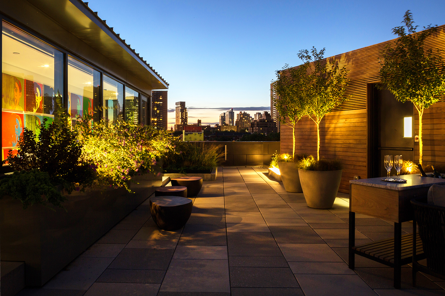 Brooklyn Heights Penthouse