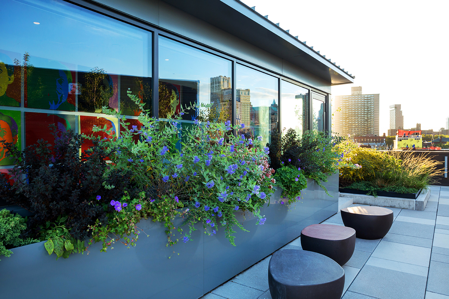 Brooklyn Heights Penthouse