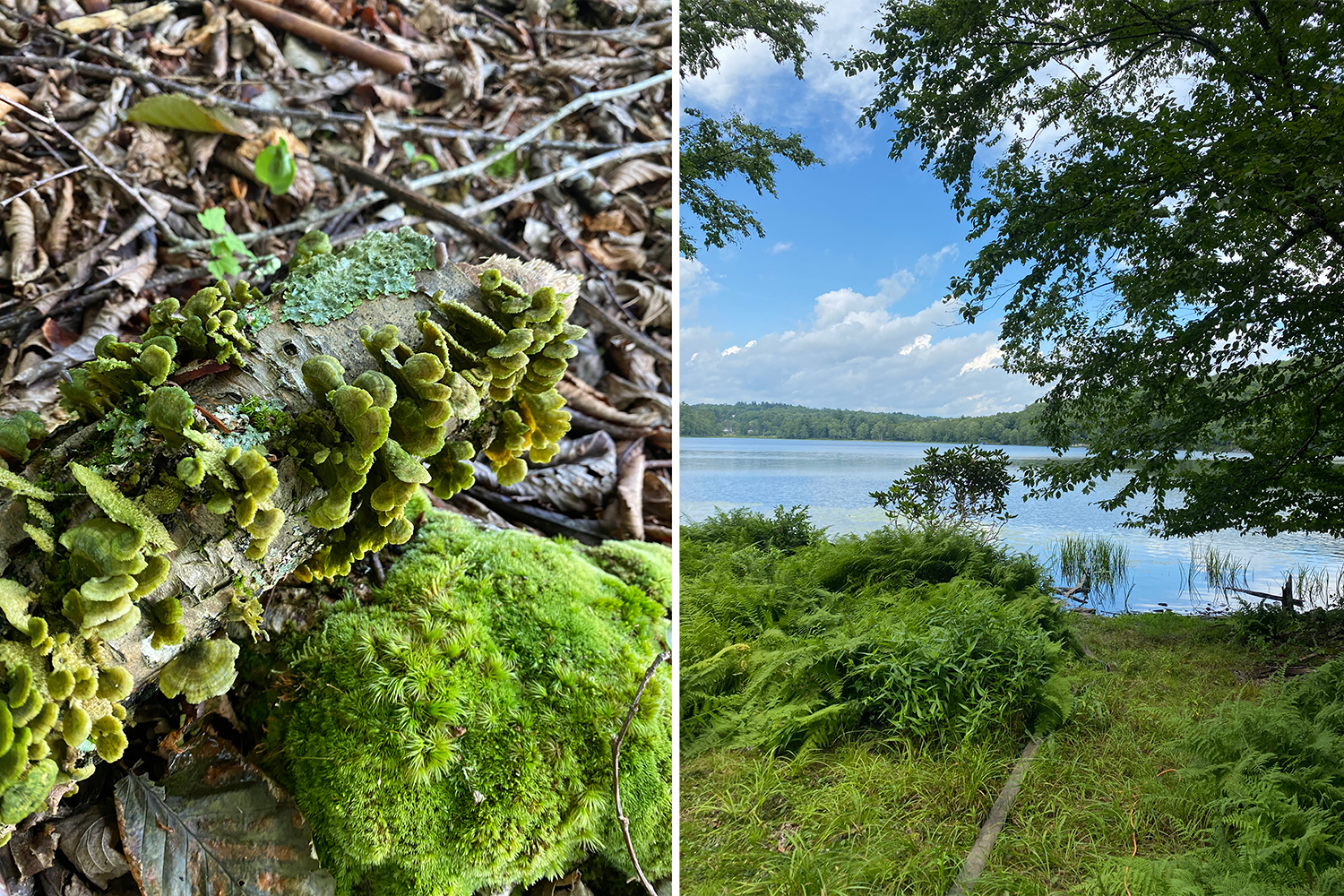 Kenoza Lake, New York