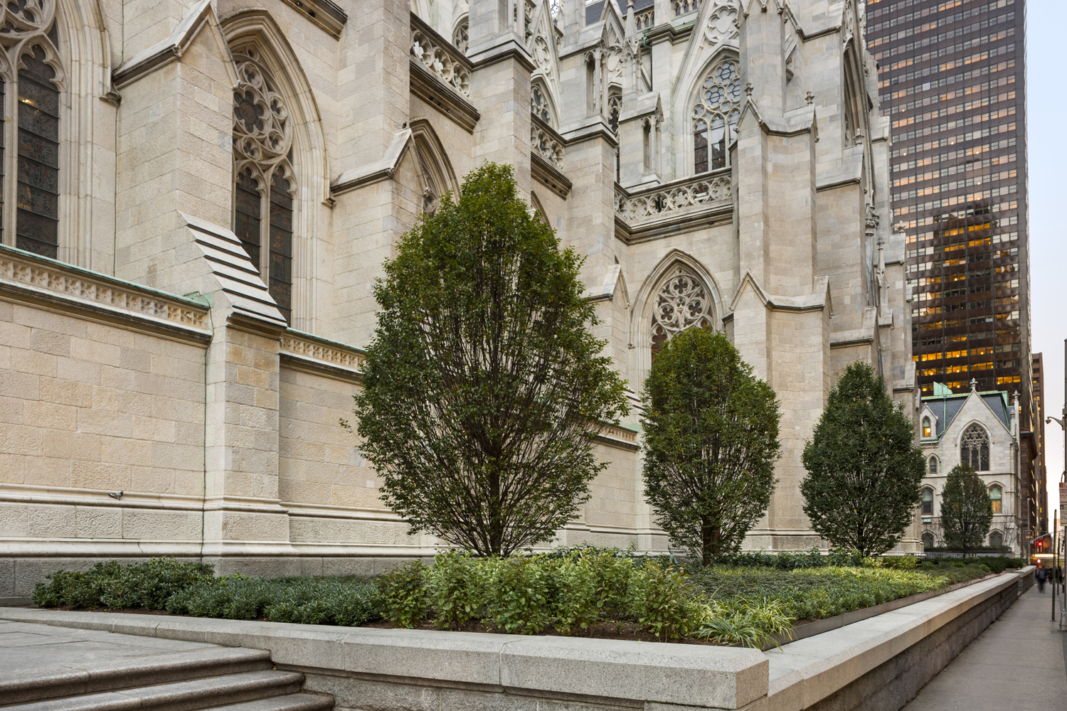 St. Patrick's Cathedral