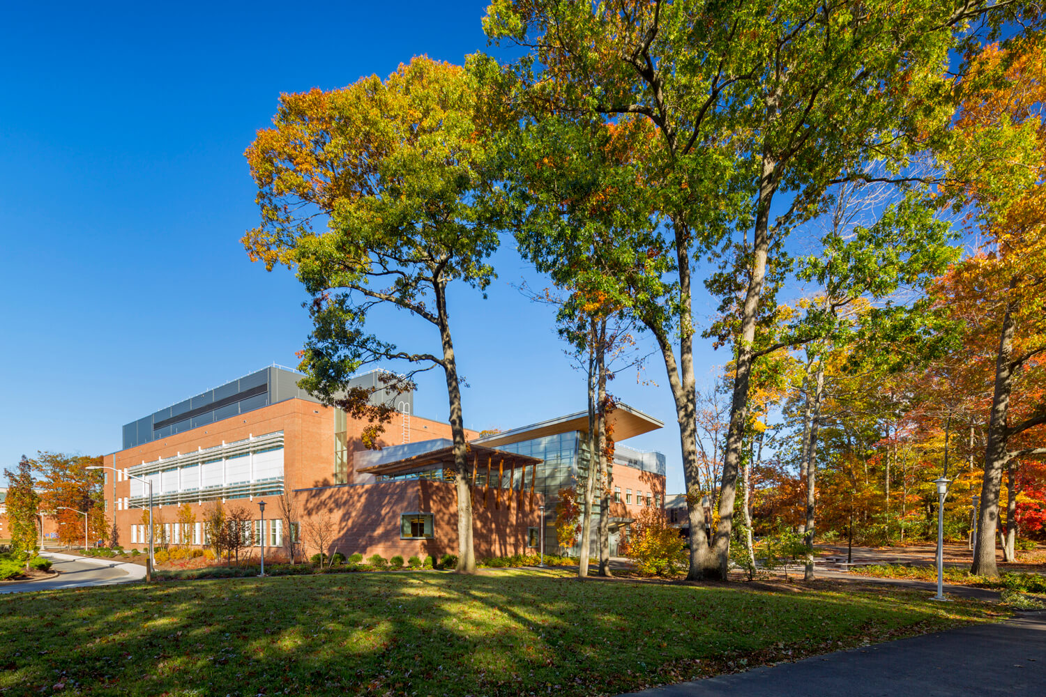 Stony Brook University