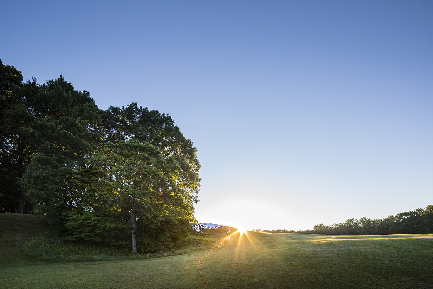 Storm King - Sarah Sze