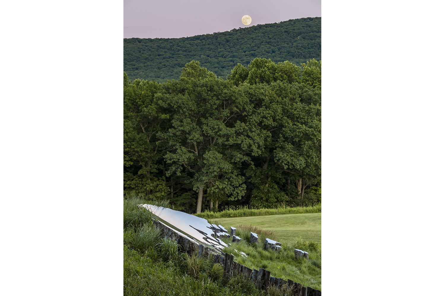 Storm King - Sarah Sze