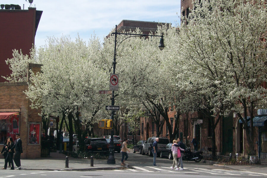 Greenwich Village